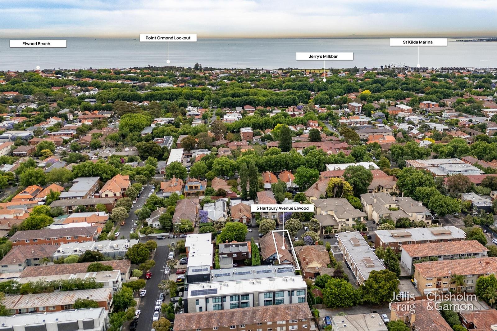 5 Hartpury Avenue, Elwood image 17