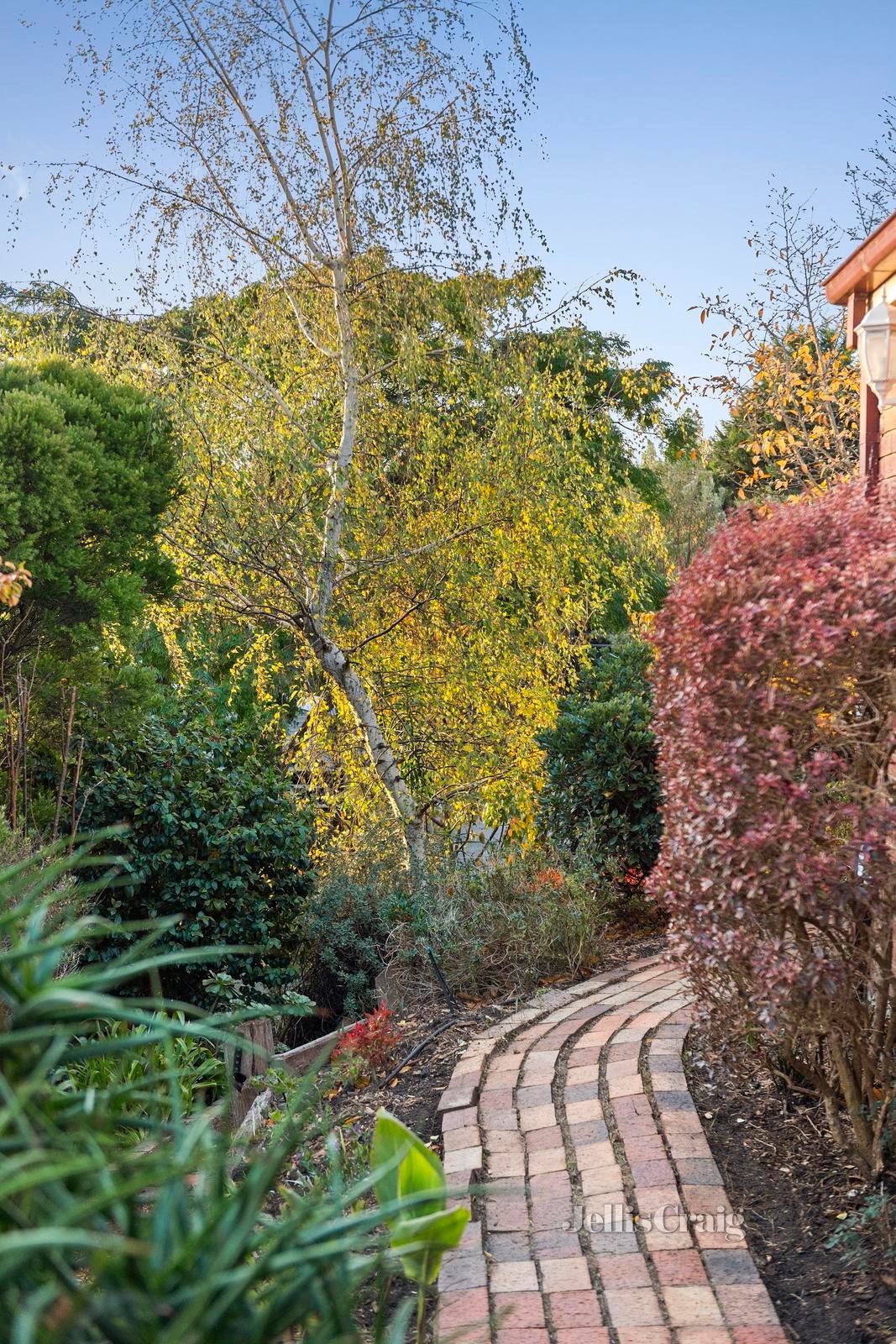 5 Kirkford Drive, Mooroolbark image 18