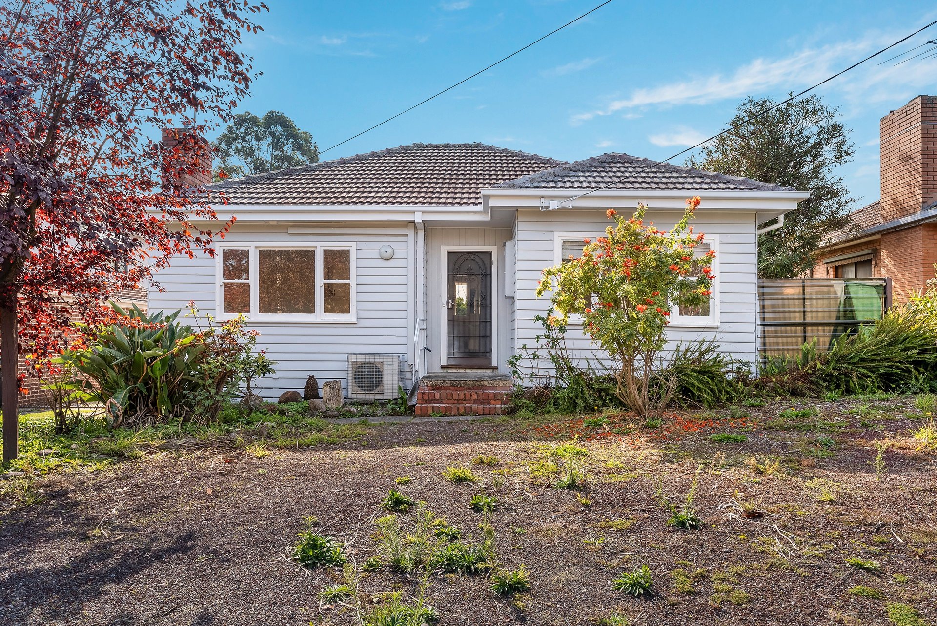 5 Mansfield Street, Blackburn&nbsp;South image 1