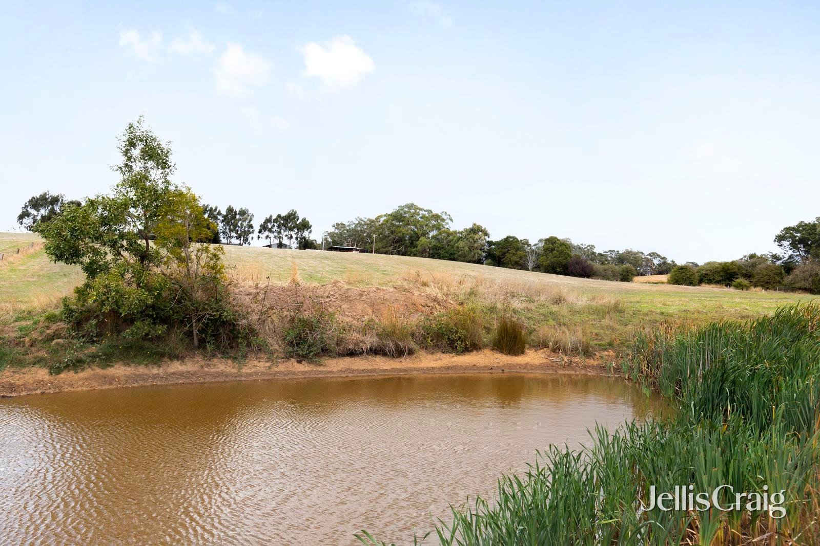 5 Millards Road, Kilmore image 3