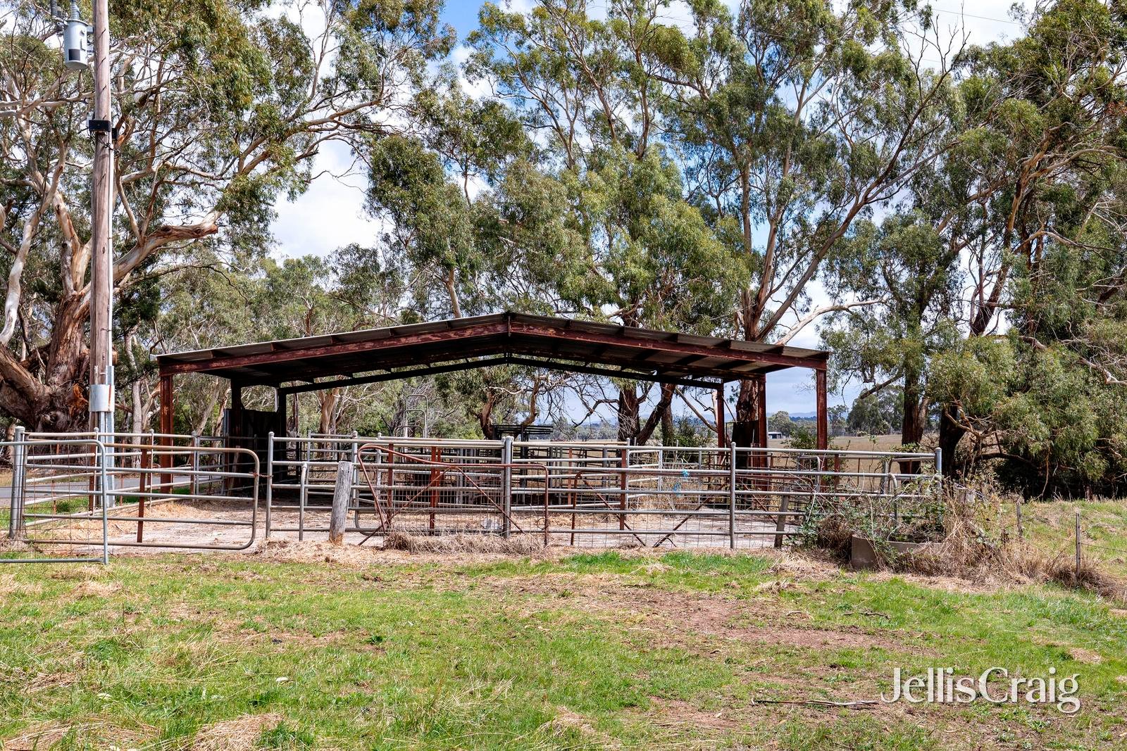 5 Millards Road, Kilmore image 6
