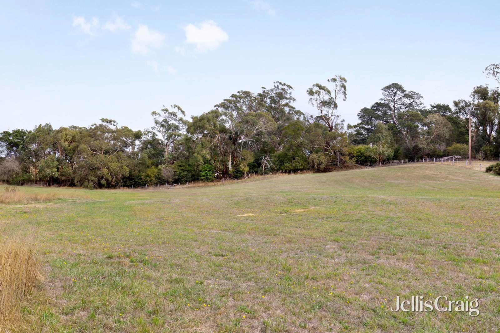 5 Millards Road, Kilmore image 7