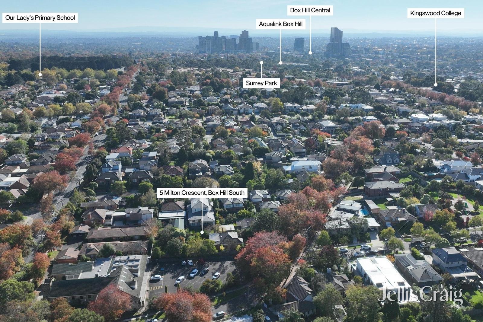 5 Milton Crescent, Box&nbsp;Hill&nbsp;South image 10