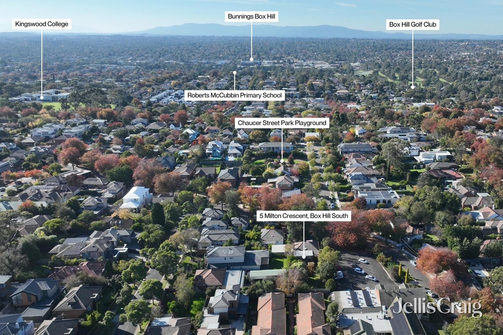 5 Milton Crescent, Box&nbsp;Hill&nbsp;South image 11