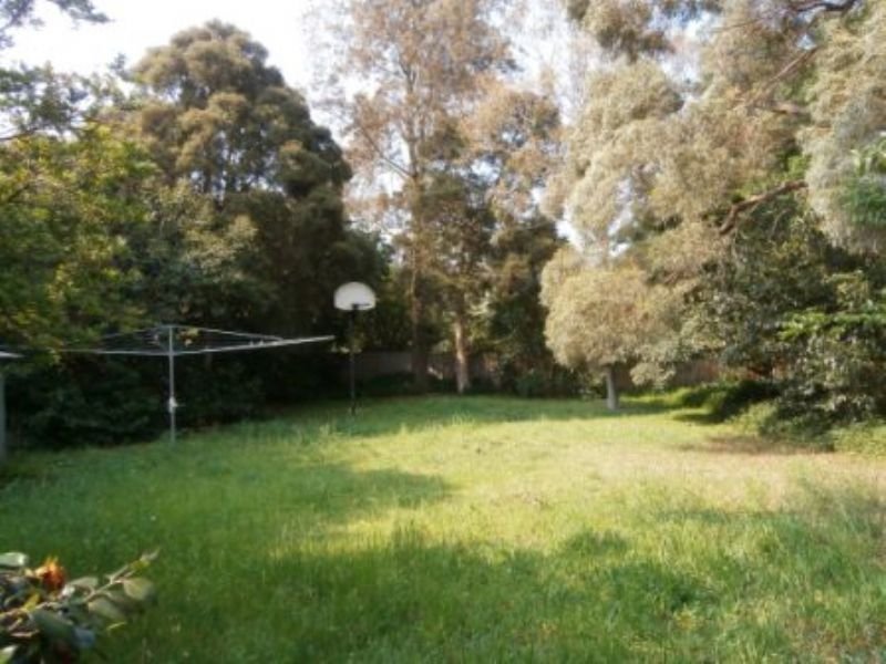5 Mitchell Road, Mont Albert North image 6