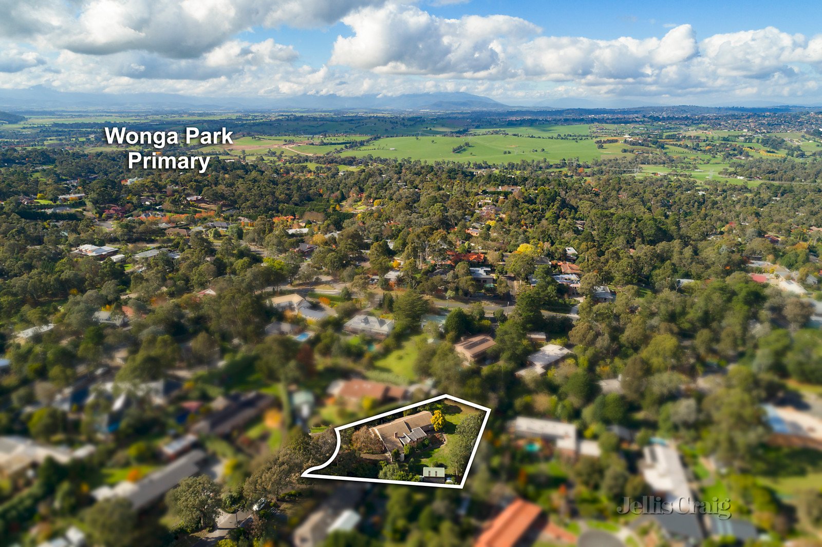 5 Page Court, Wonga Park image 14