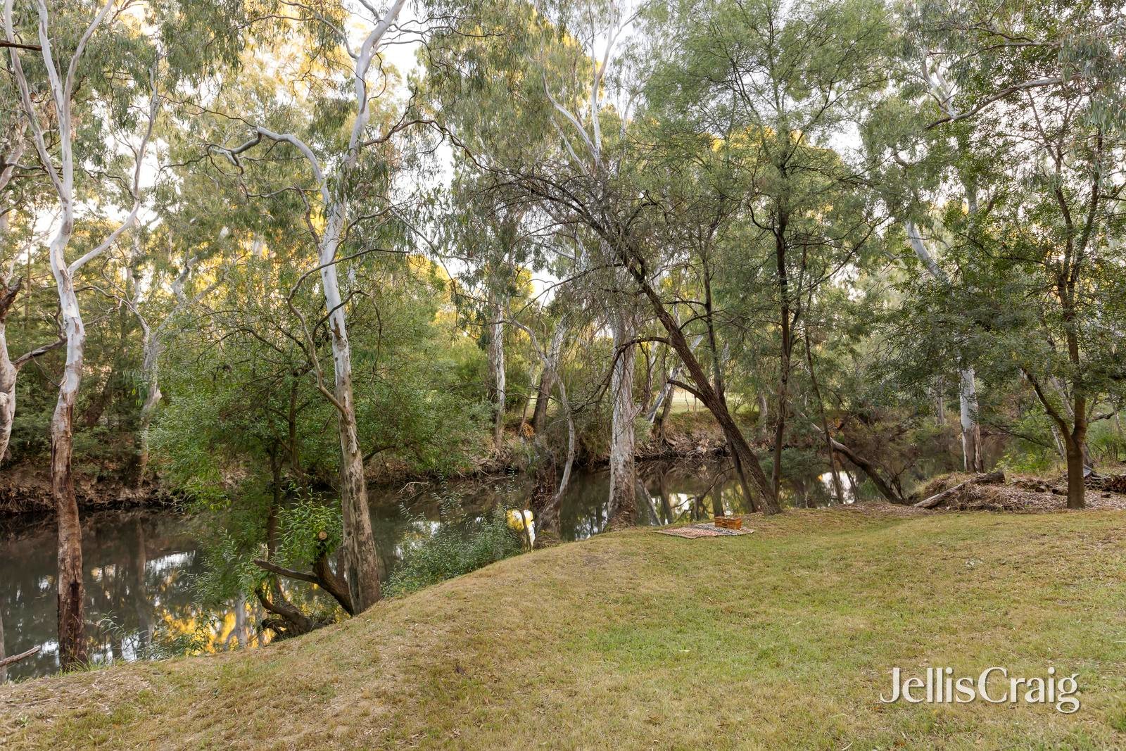 5 Riverside Road, Ivanhoe image 5