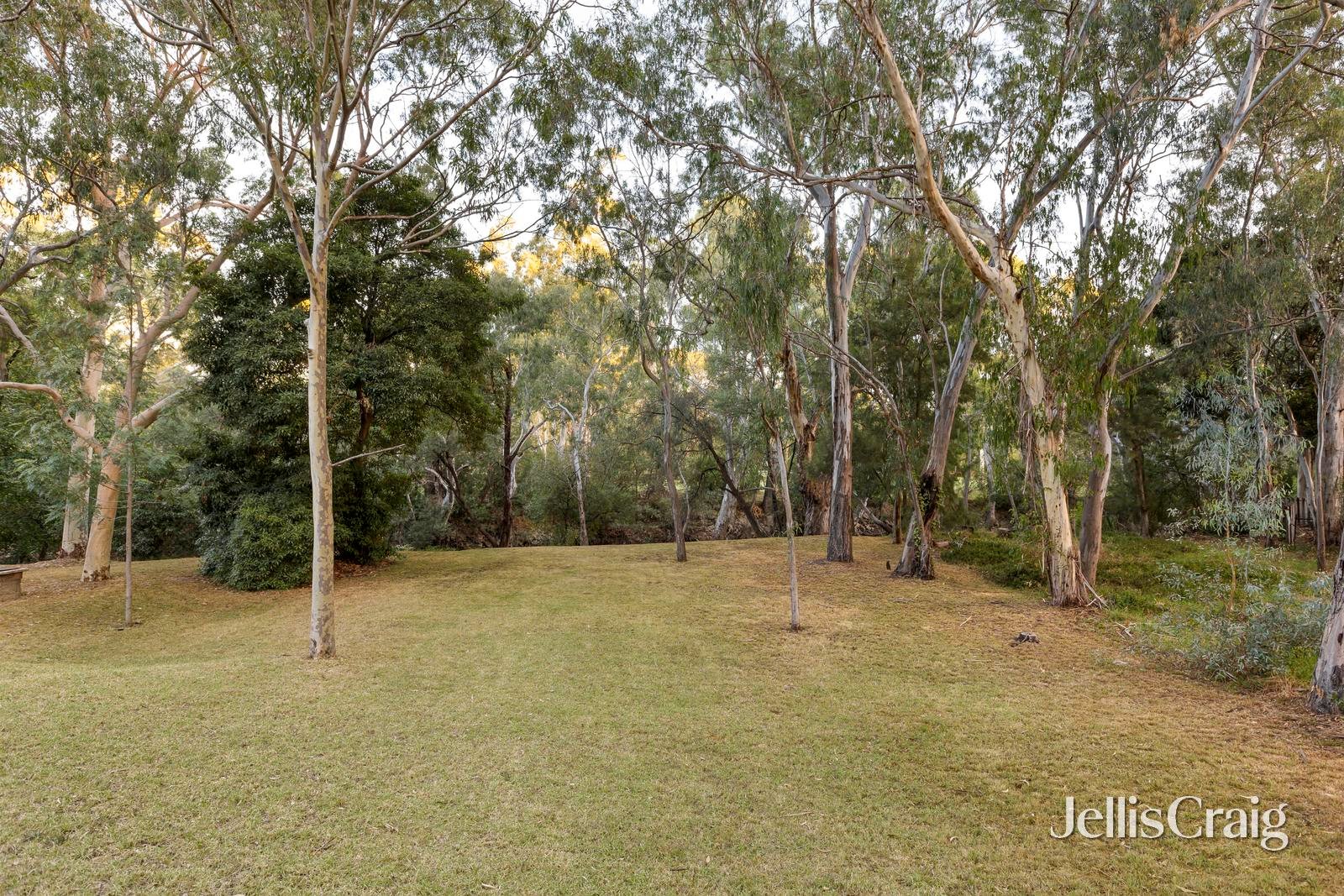 5 Riverside Road, Ivanhoe image 6