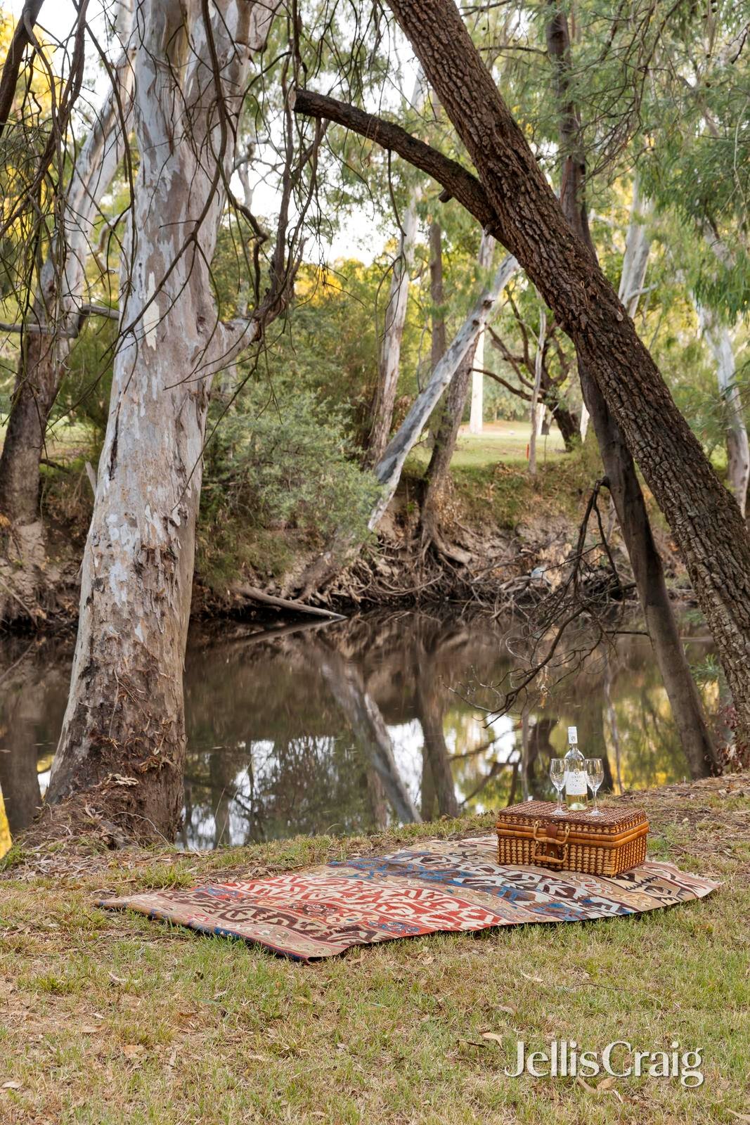 5 Riverside Road, Ivanhoe image 17