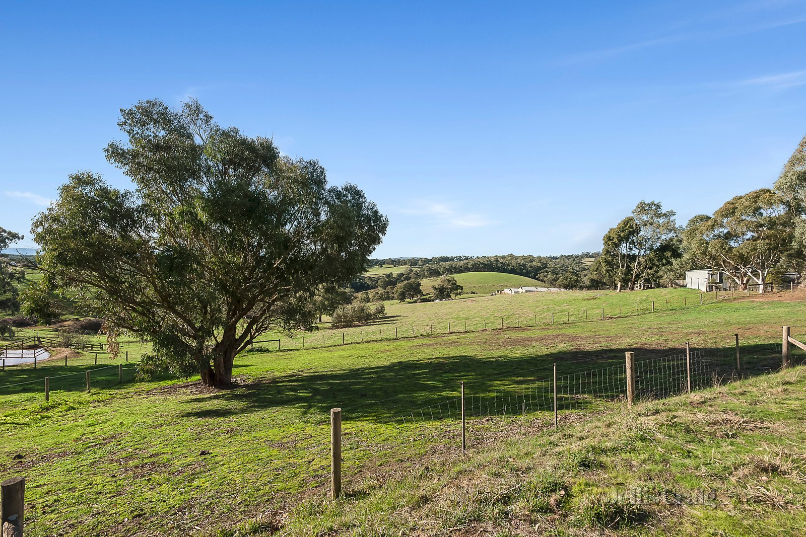 5 Rob Roy Road, Smiths Gully image 10