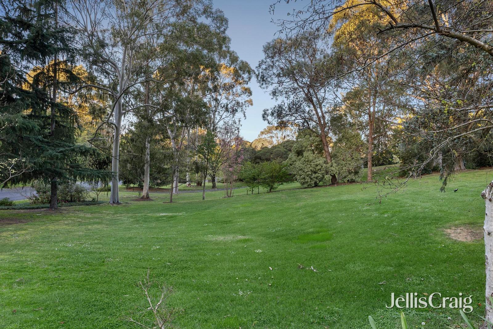 5 Sowter Court, Donvale image 16