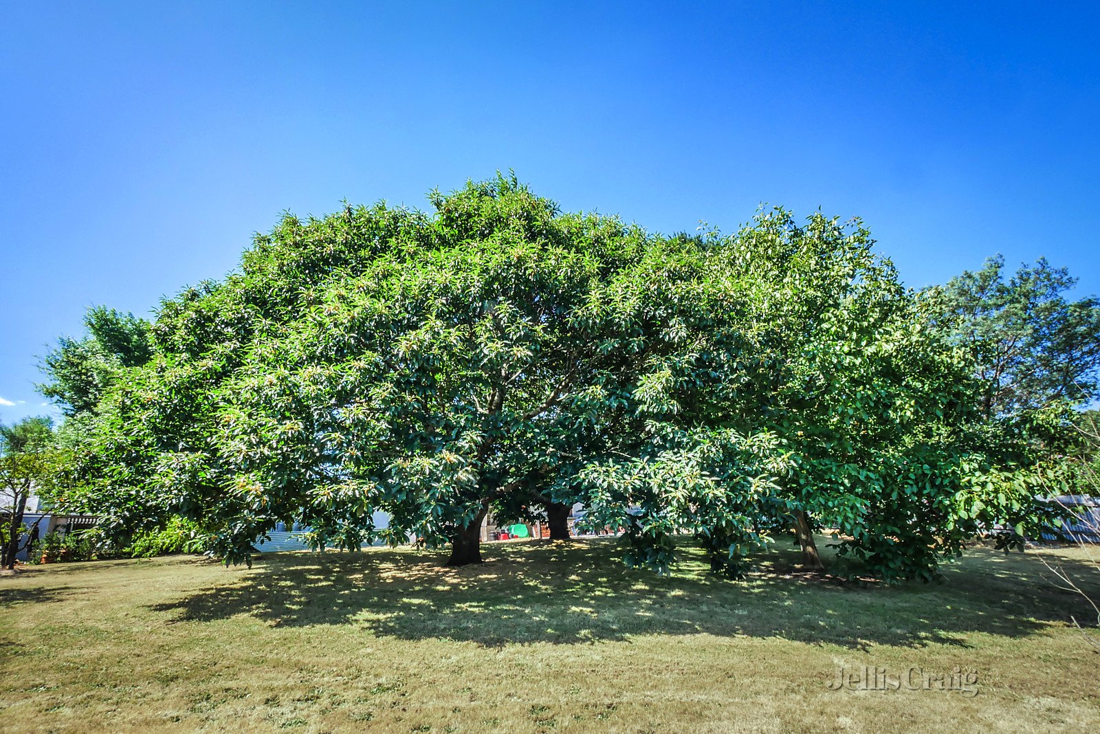 5 Walkers Road, Lyonville image 2