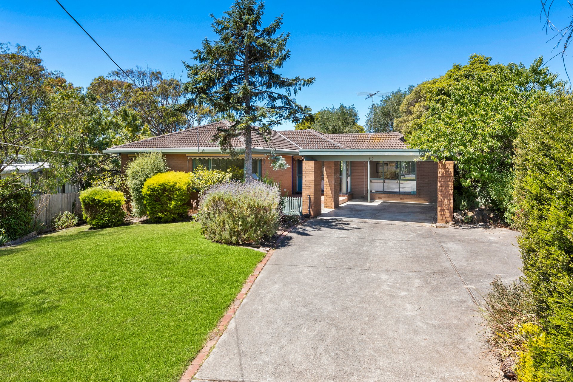 Property Gallery - Main Image