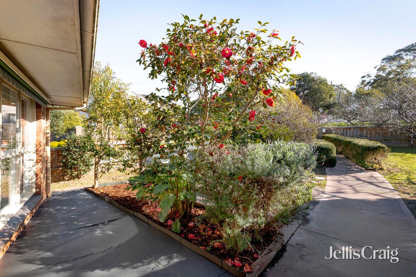 50 Anderson Street, Templestowe image 2
