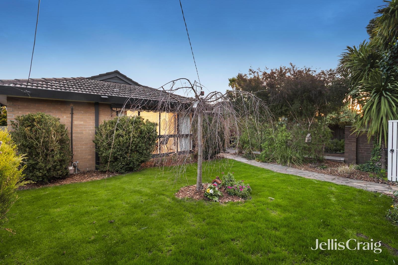 50 Baratta Street, Blackburn South image 11