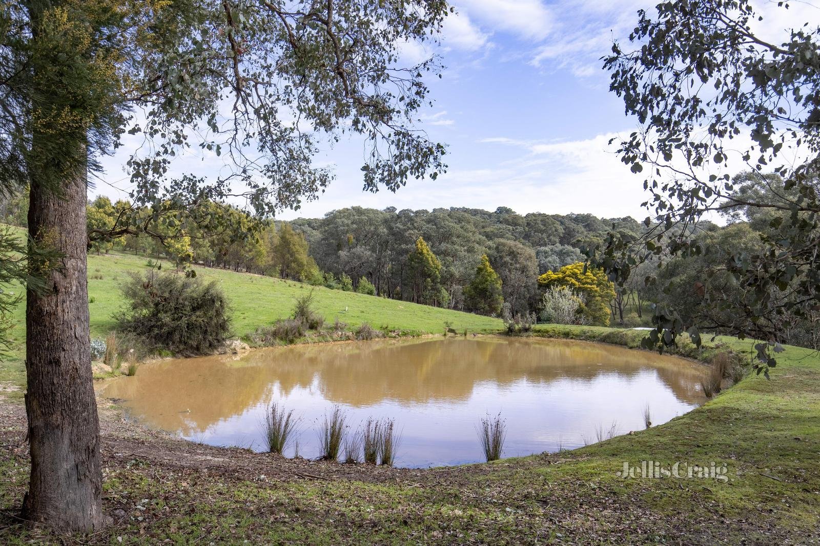 50 Boyds Road, Hurstbridge image 3