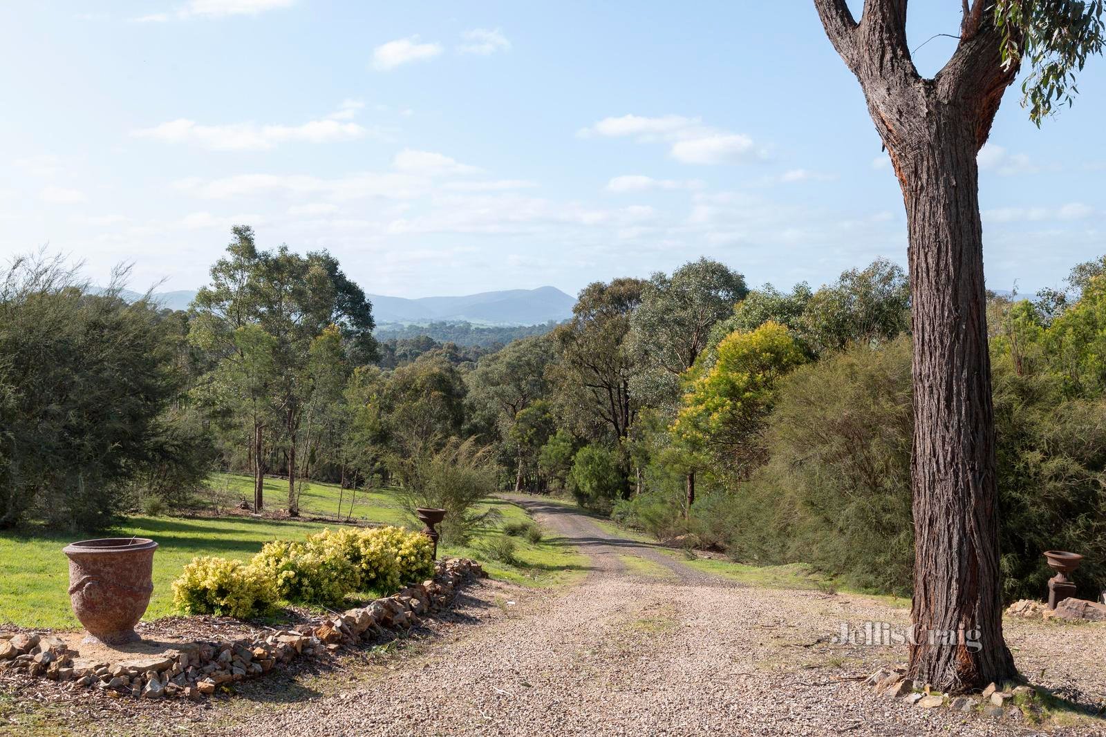 50 Boyds Road, Hurstbridge image 4