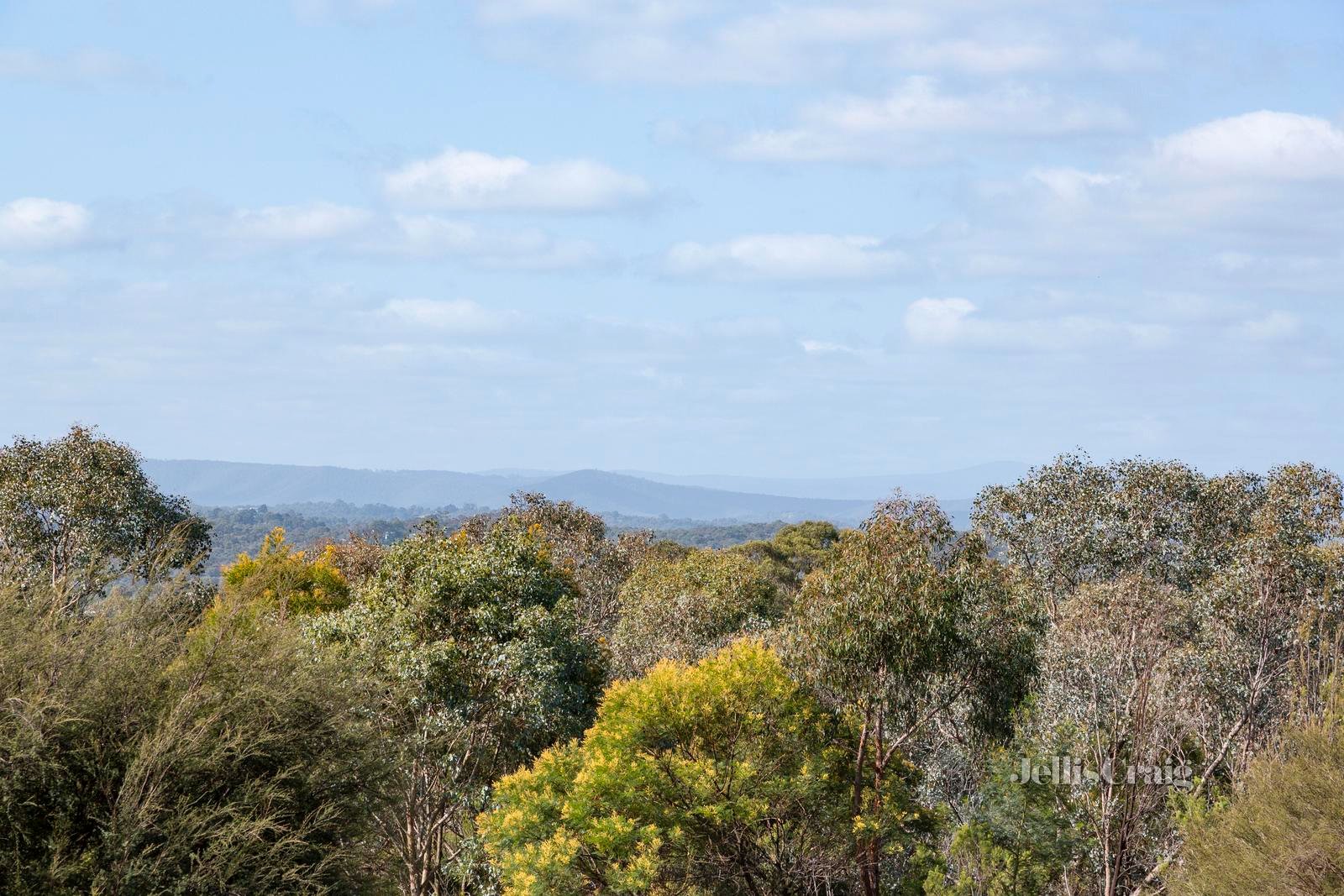 50 Boyds Road, Hurstbridge image 5