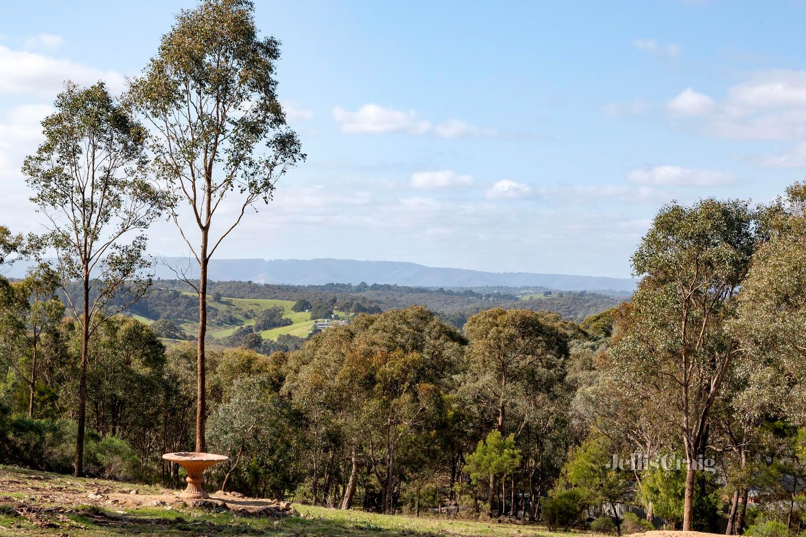 50 Boyds Road, Hurstbridge image 6