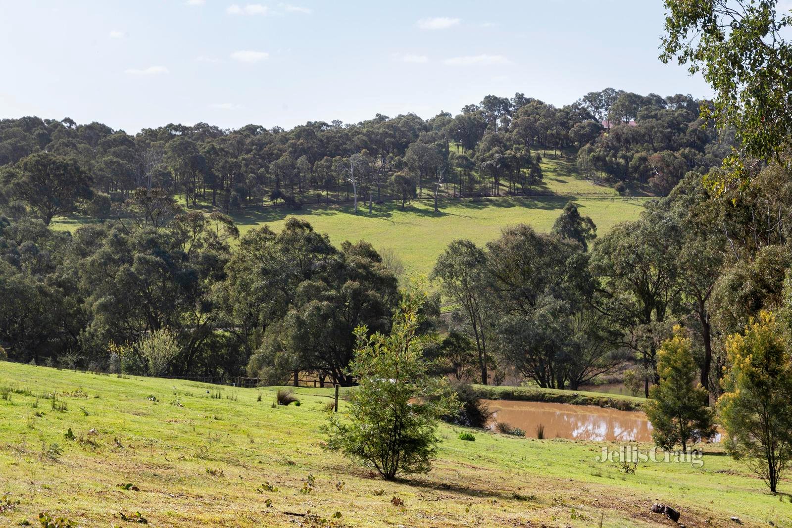 50 Boyds Road, Hurstbridge image 11