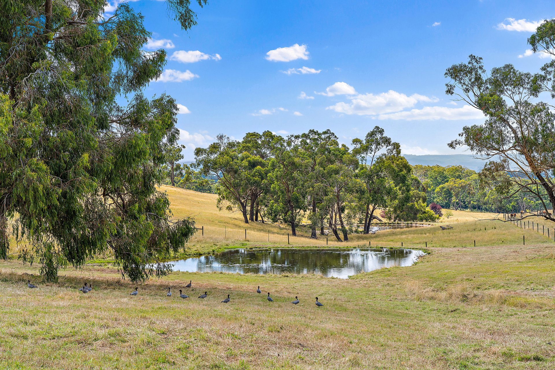 50 Crombie Road, Lilydale image 22