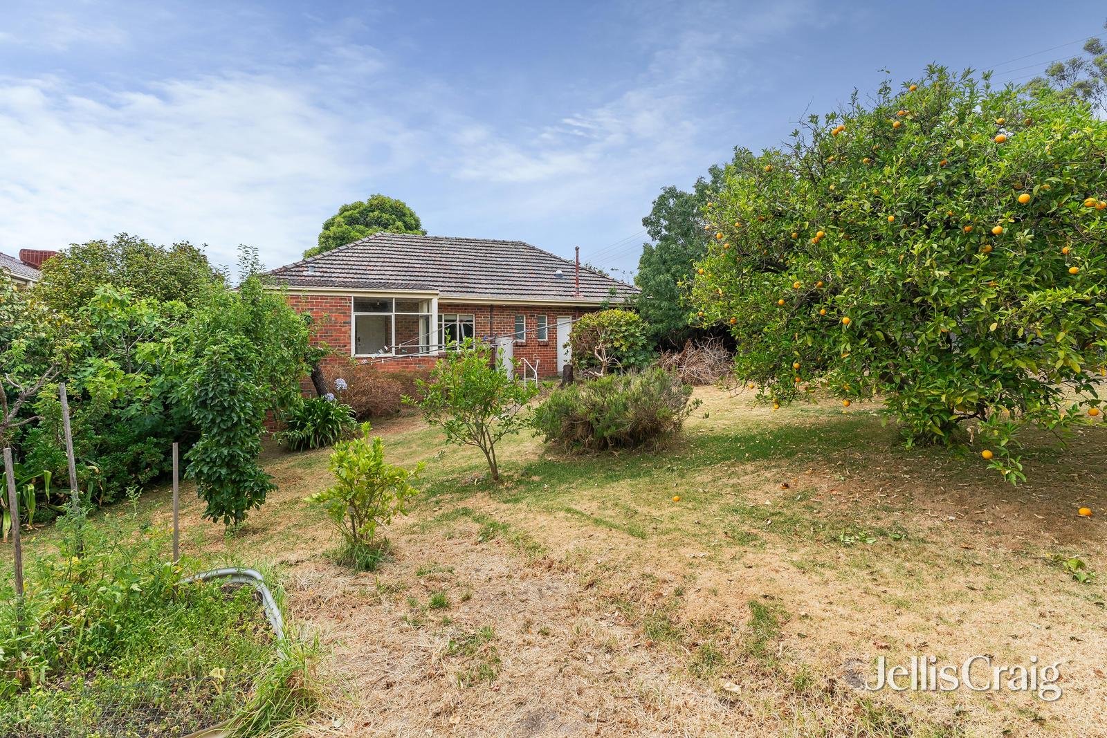 50 Finlayson Street, Doncaster image 11