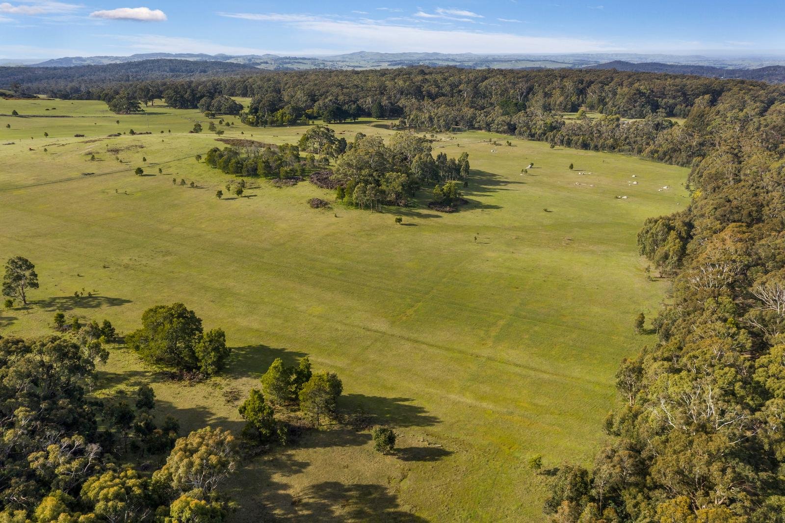 50 Frosts Road, Benloch image 1