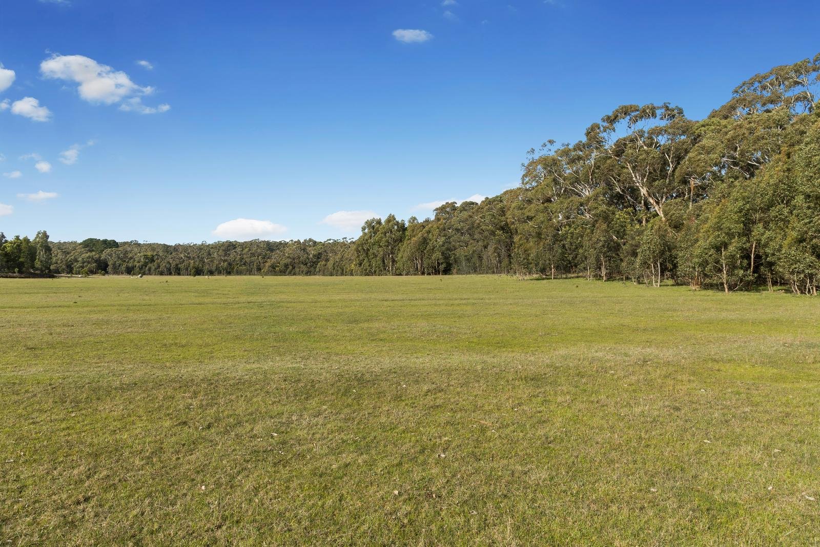 50 Frosts Road, Benloch image 4