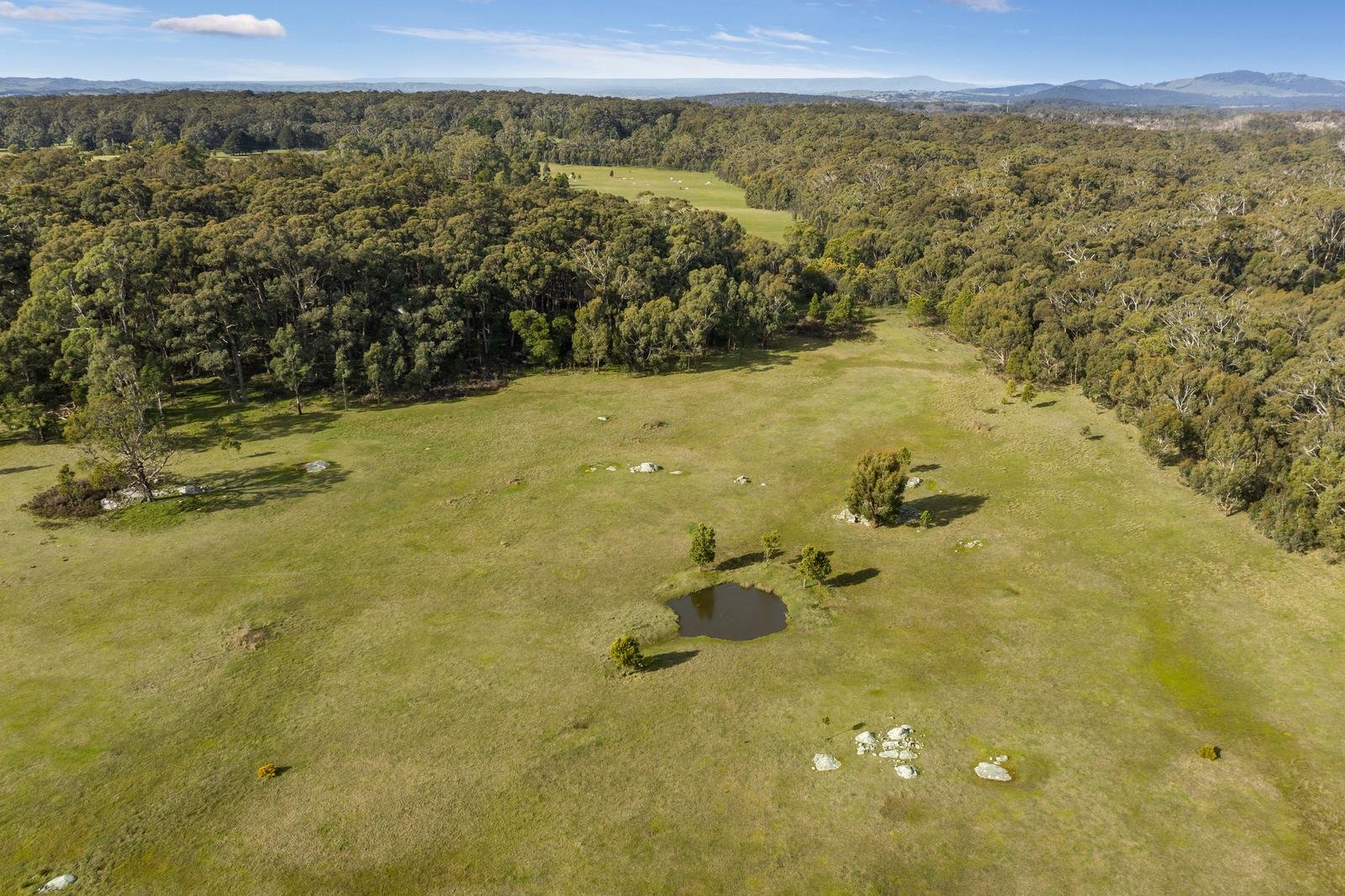 50 Frosts Road, Benloch image 10