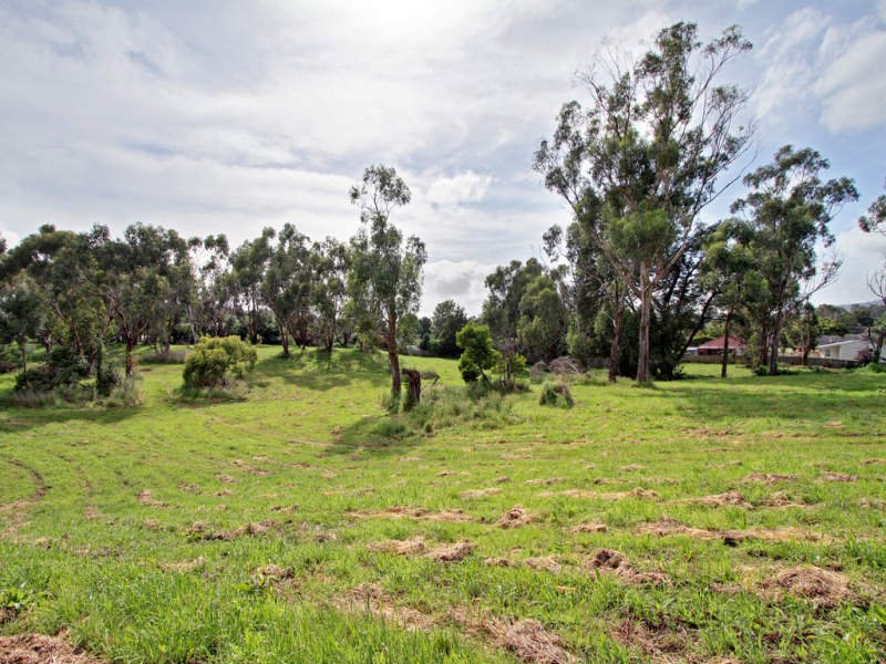 50 Greenslopes Drive, Mooroolbark image 3