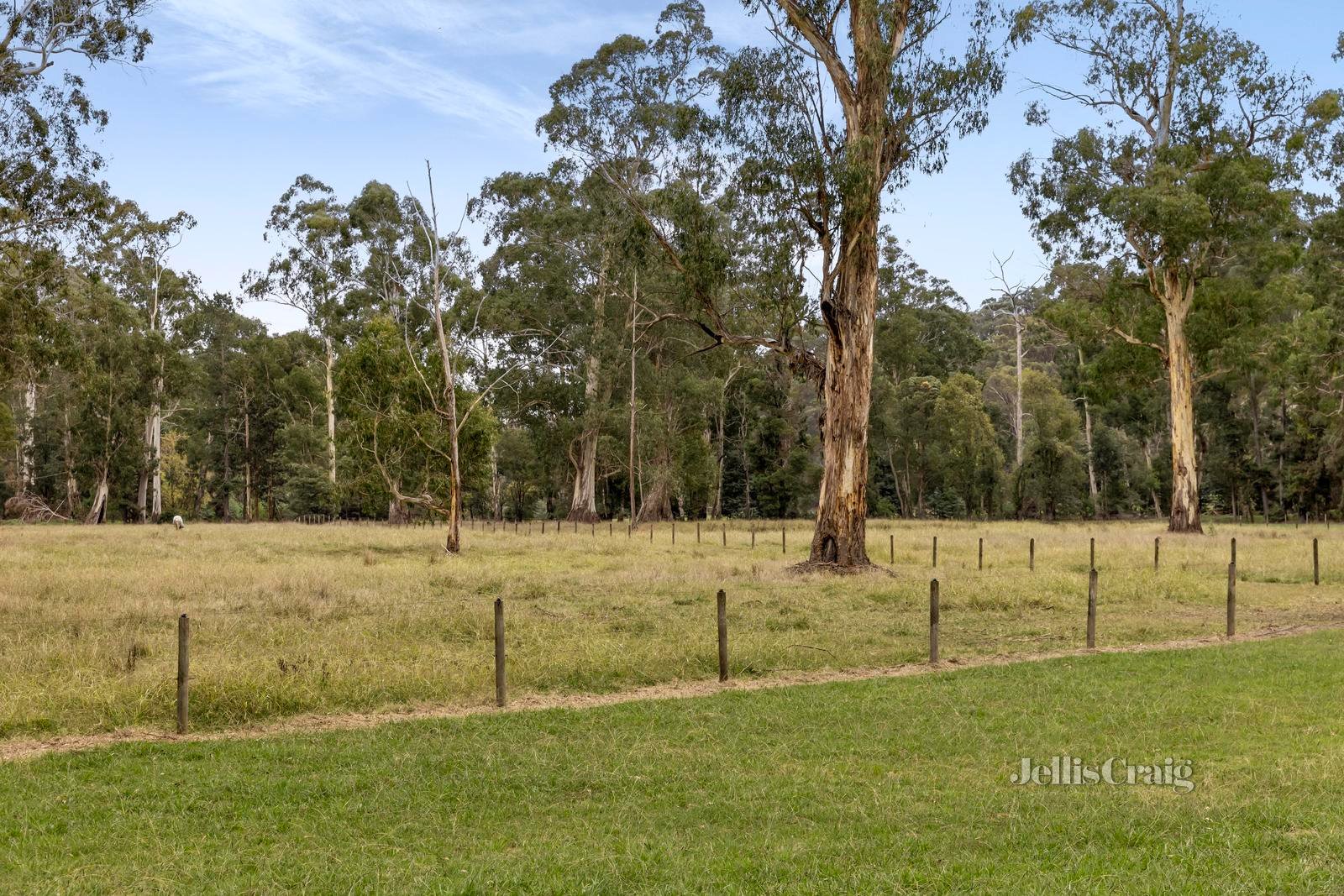 50 Maroondah Parade, Healesville image 6