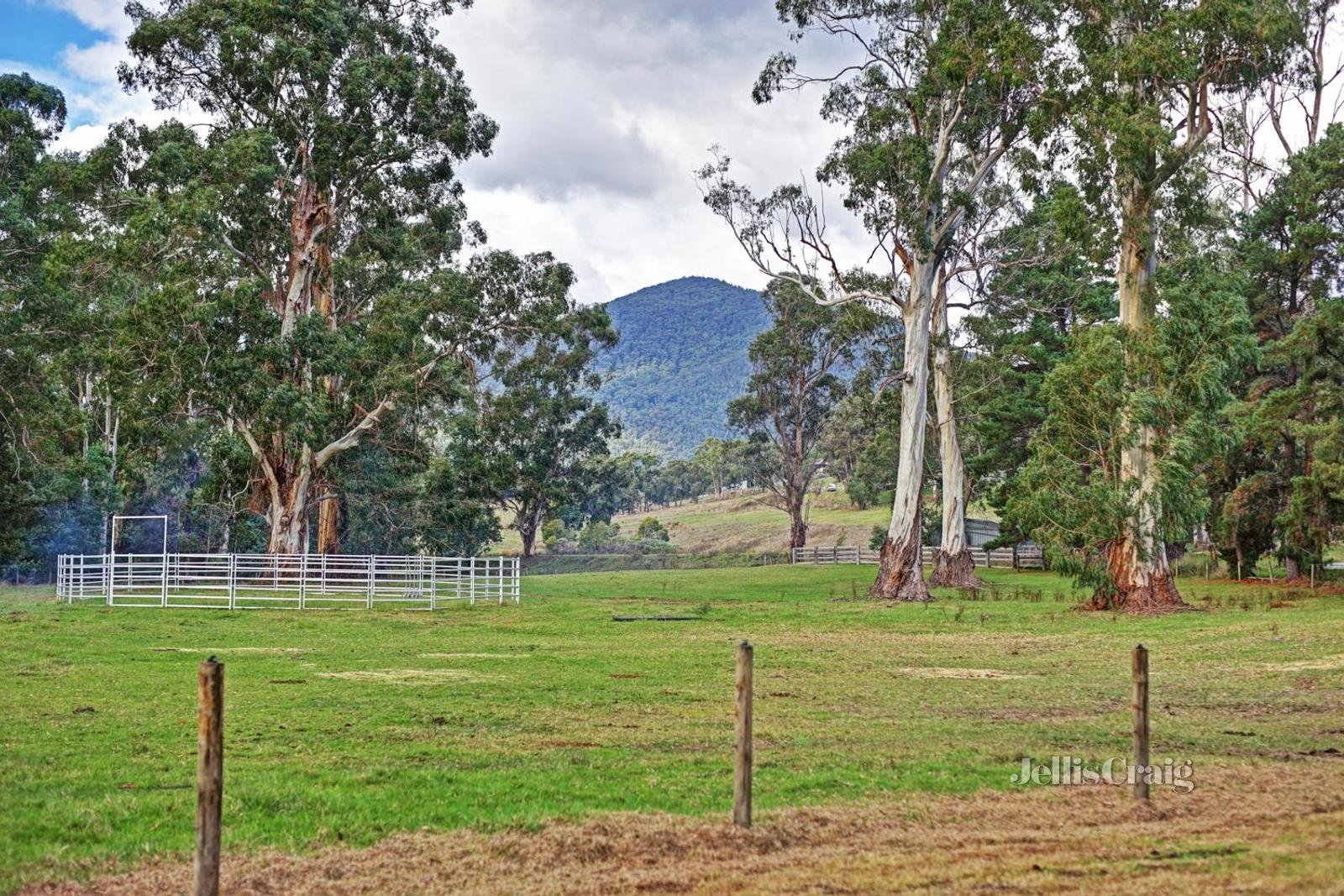 50 Maroondah Parade, Healesville image 8