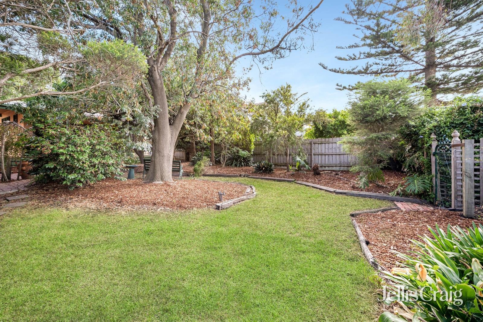 50 Mascot Avenue, Bonbeach image 12