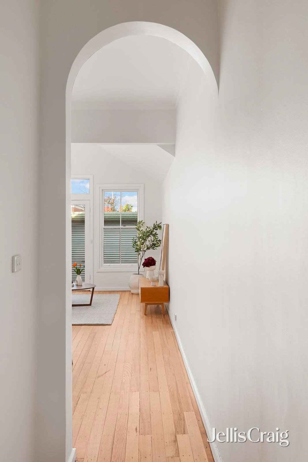50 Mcilwraith Street, Princes&nbsp;Hill image 2