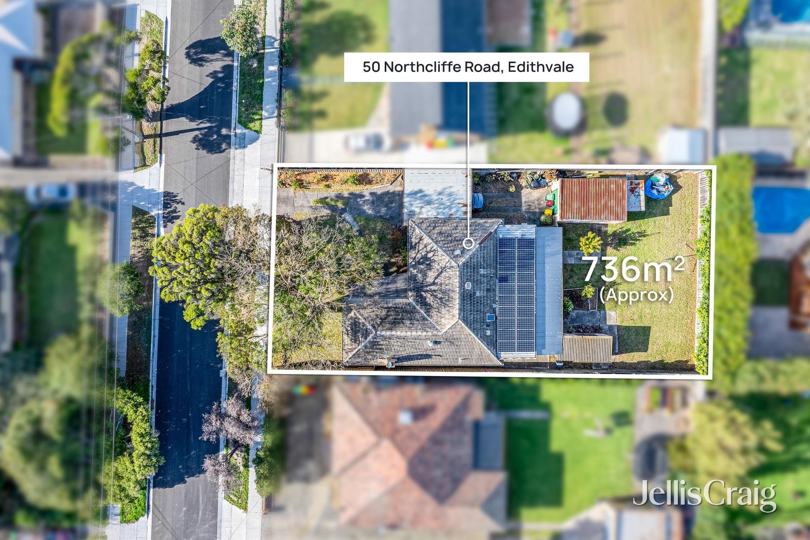 50 Northcliffe Road, Edithvale image 13
