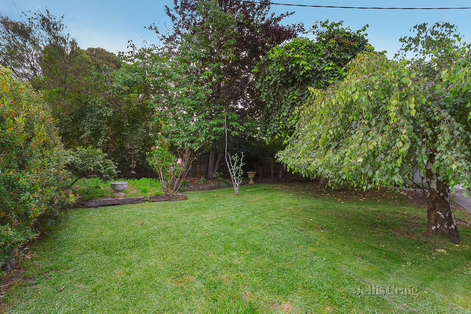 50 Oban Road, Ringwood image 8