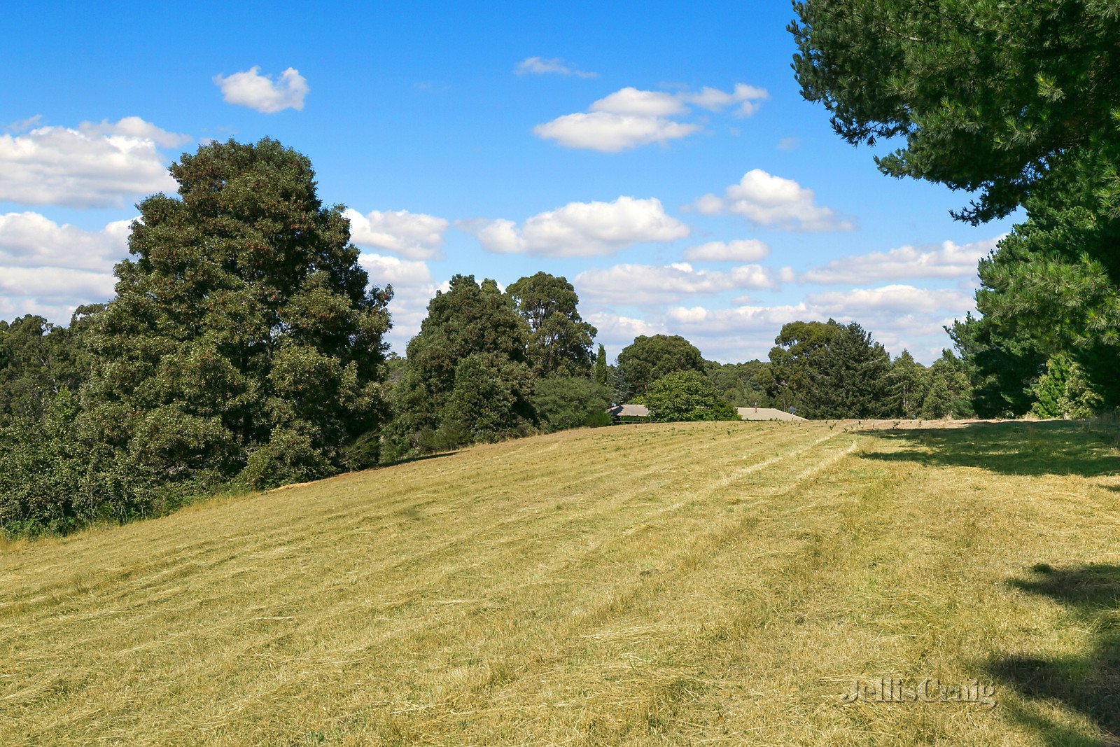 50 Peuckers Lane, Lyonville image 3