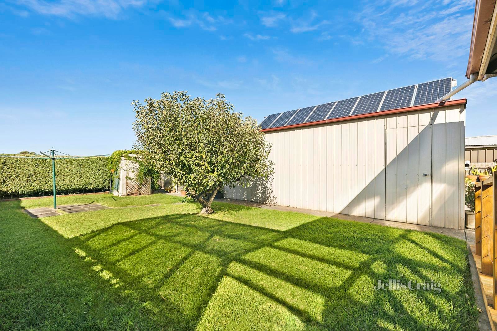 50 Slevin Street, North Geelong image 12