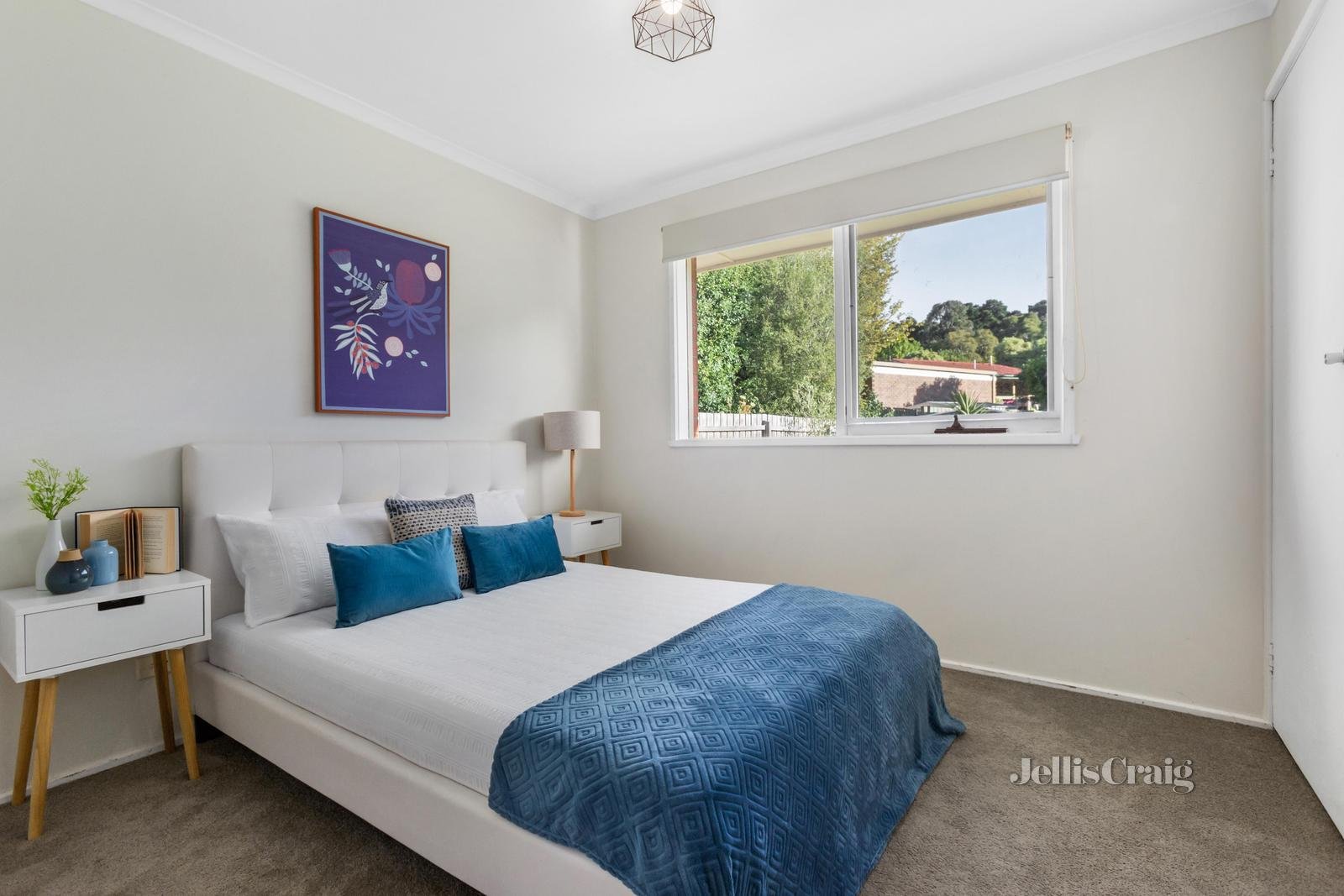 50 Tortice Drive, Ringwood North image 9