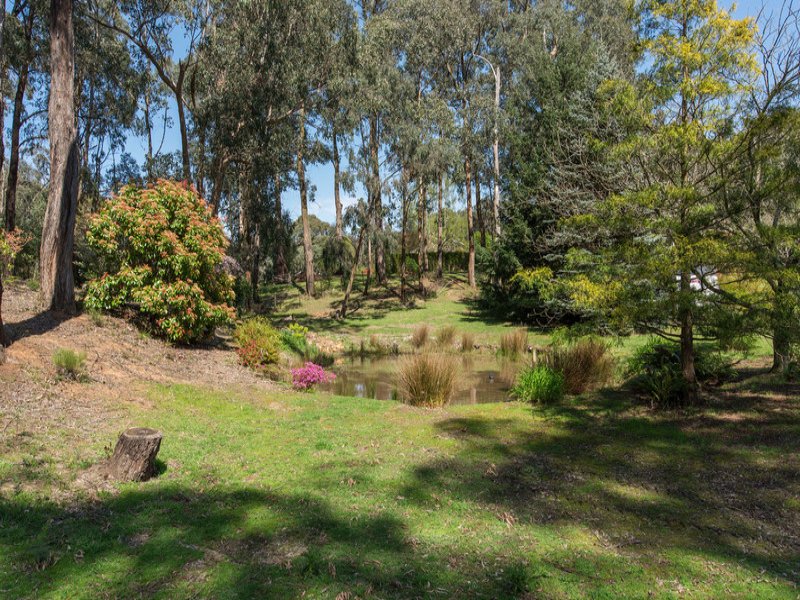 50 Wattle Court, Castella image 15