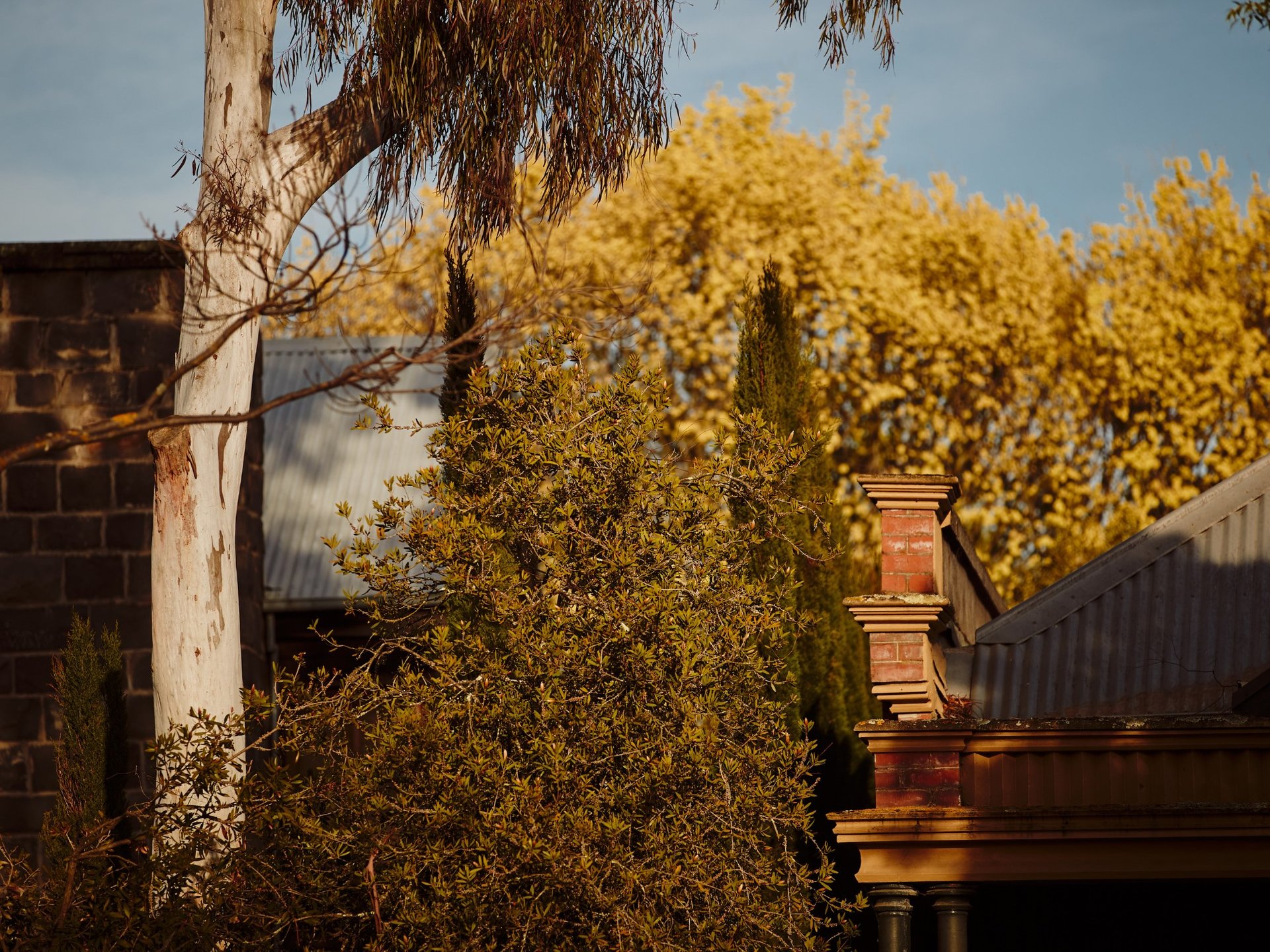 5.04/6 Lyons Street North, Ballarat Central image 8