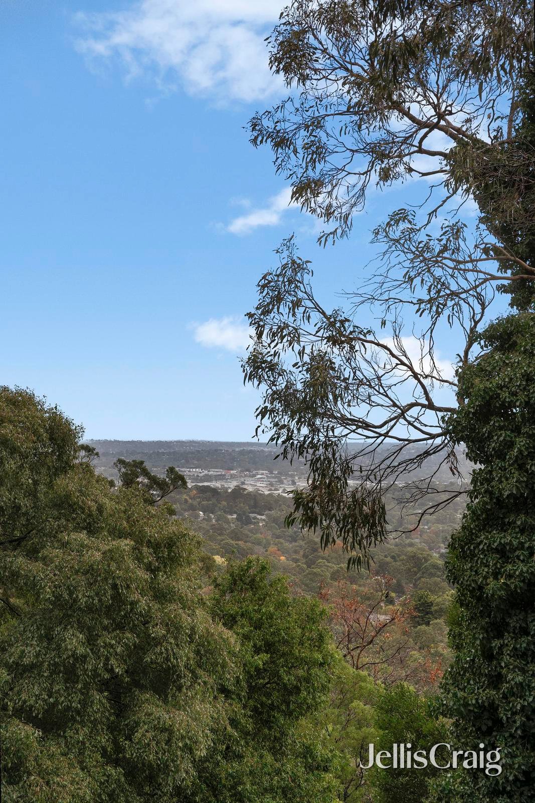 50B Old Forest Road, The&nbsp;Basin image 15