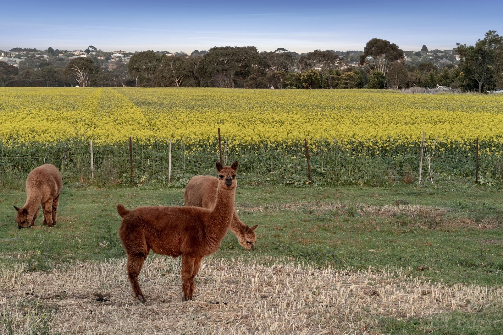 Property Gallery Thumbnail 22