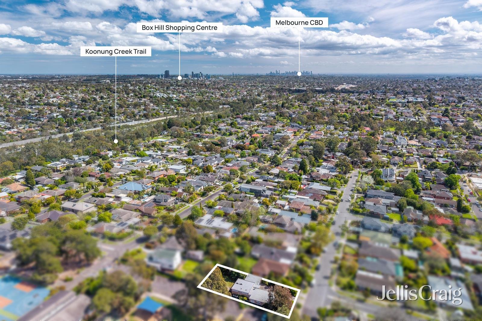 51 Argyle Street, Donvale image 3