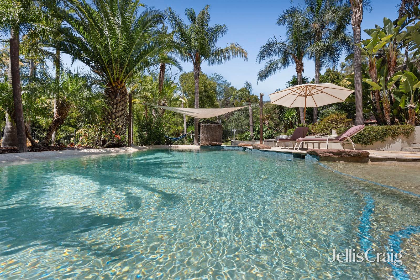 51 Belvedere Drive, Montrose image 3