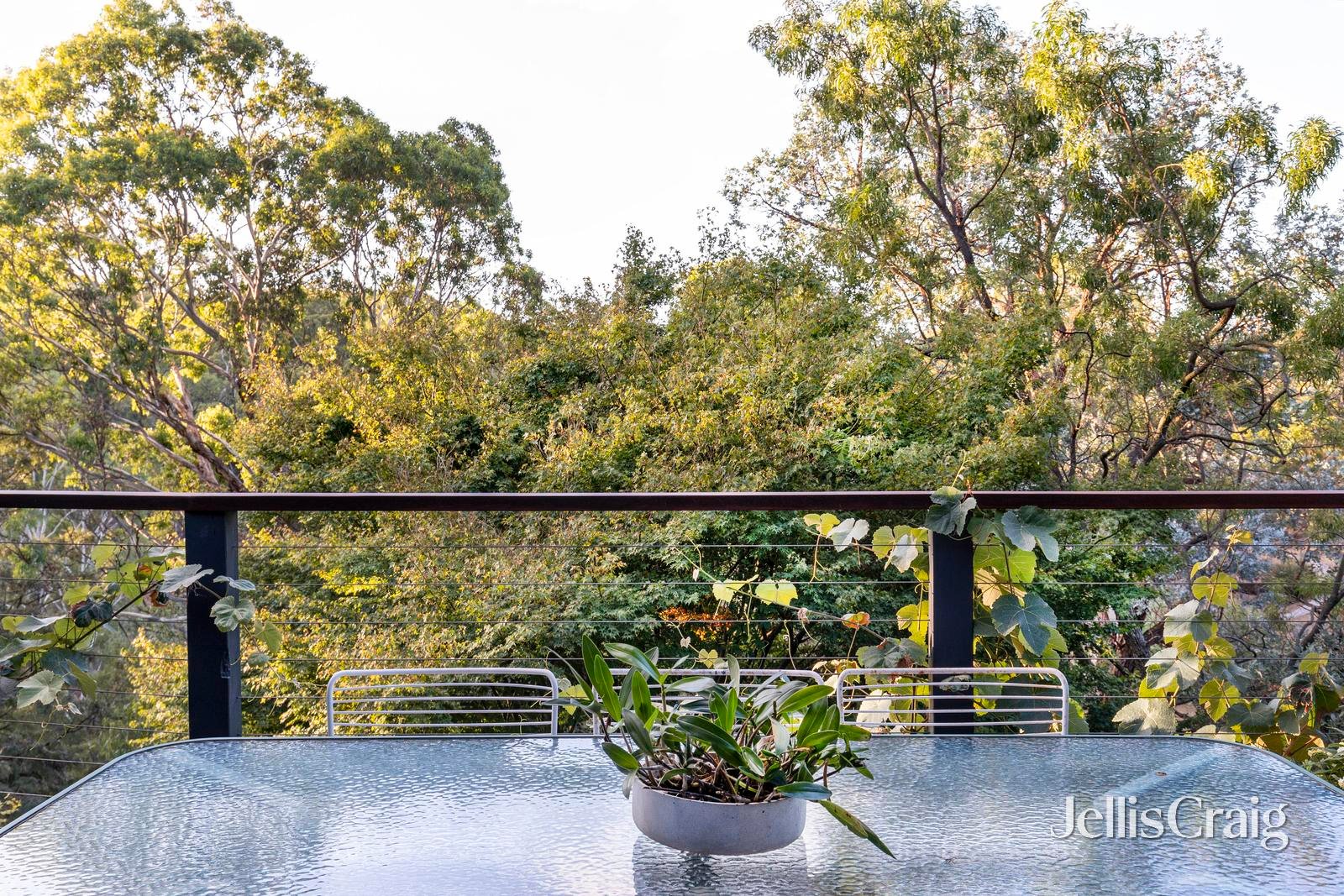 51 Corowa Crescent, Greensborough image 11