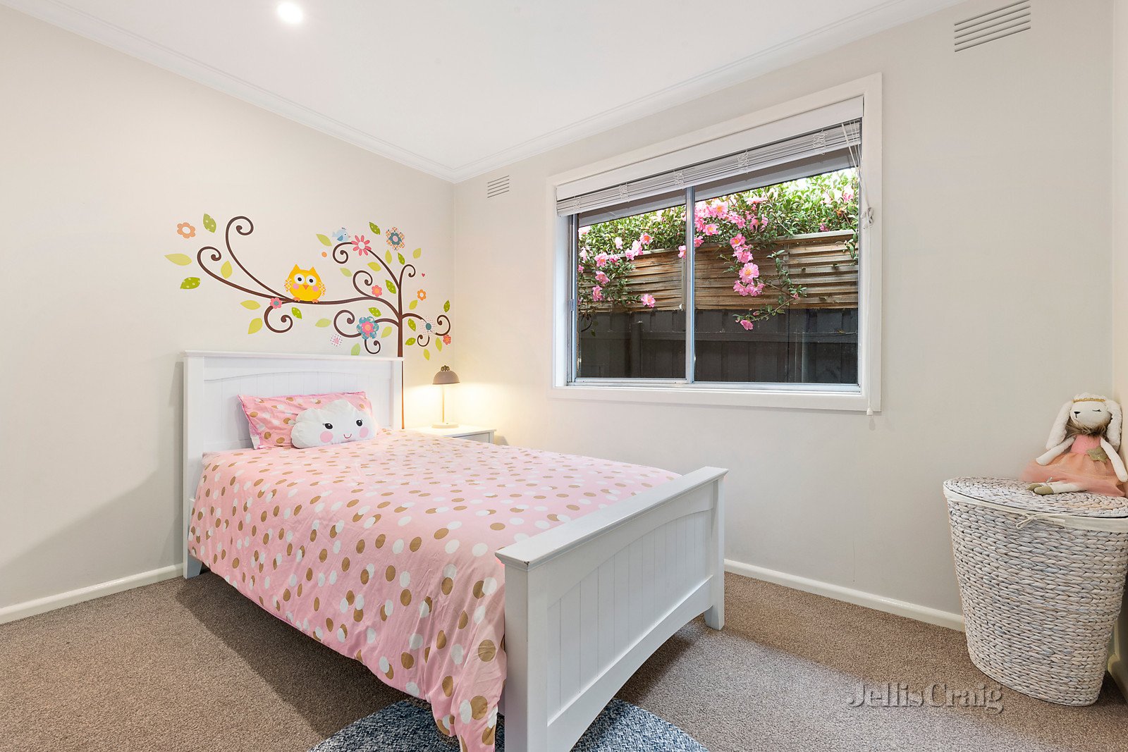 51 Middleton Street, Watsonia North image 6