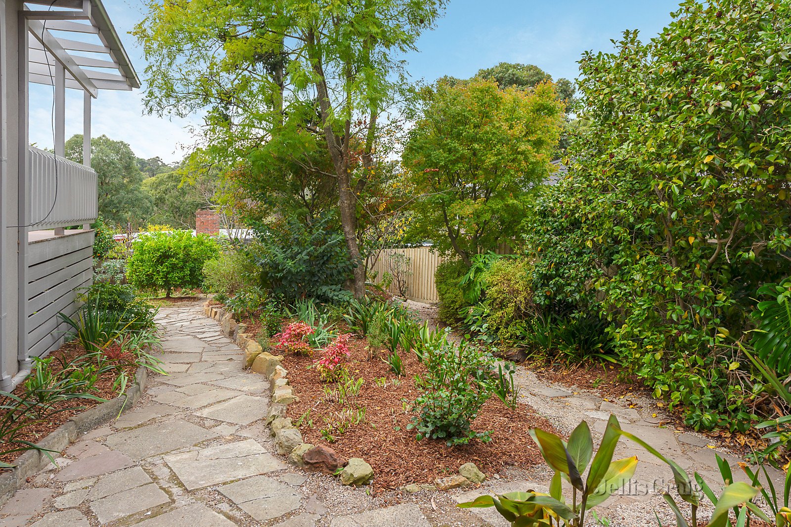 51 Wattle Valley Road, Mitcham image 10