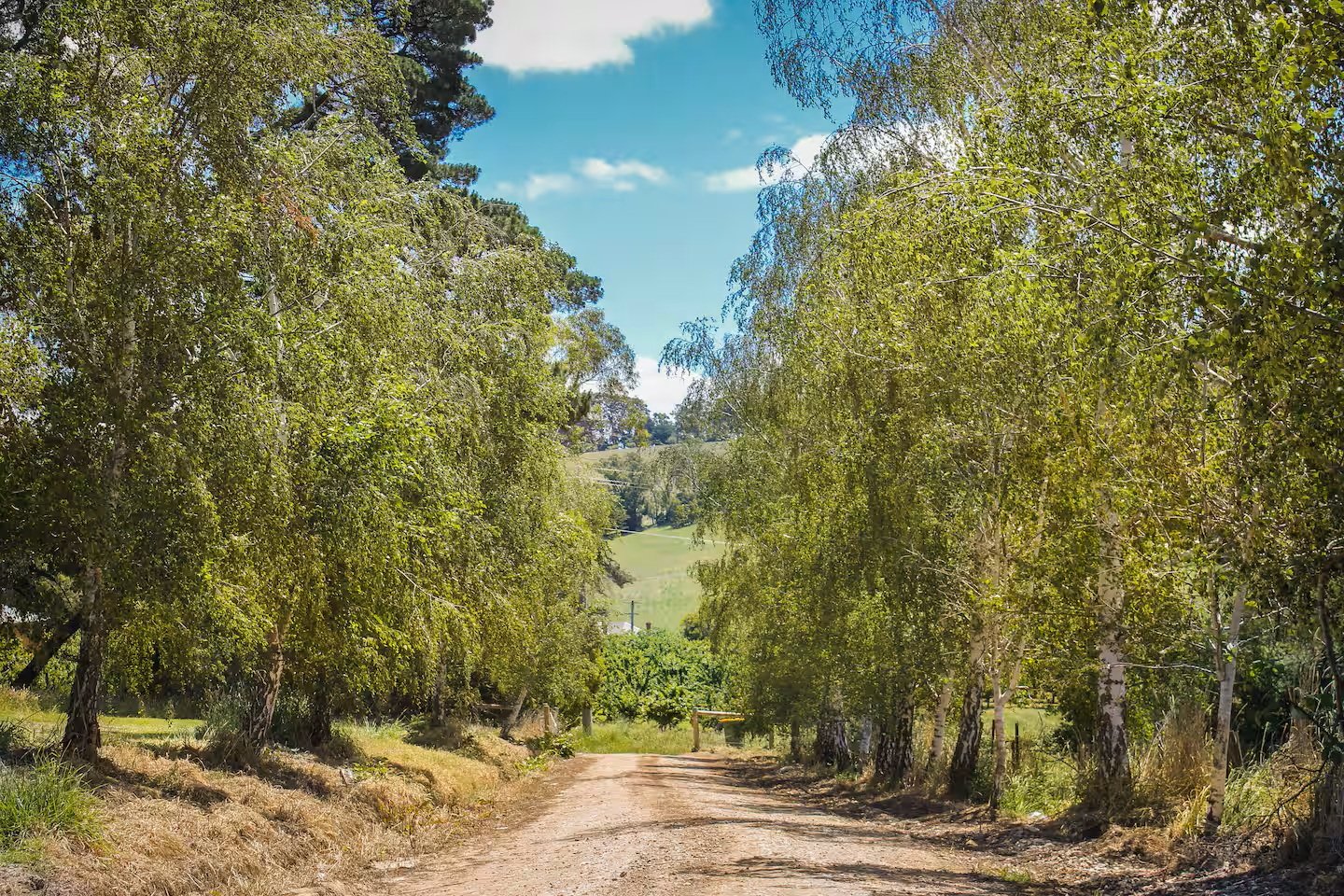 510 Queens Road, Wandin&nbsp;East image 17