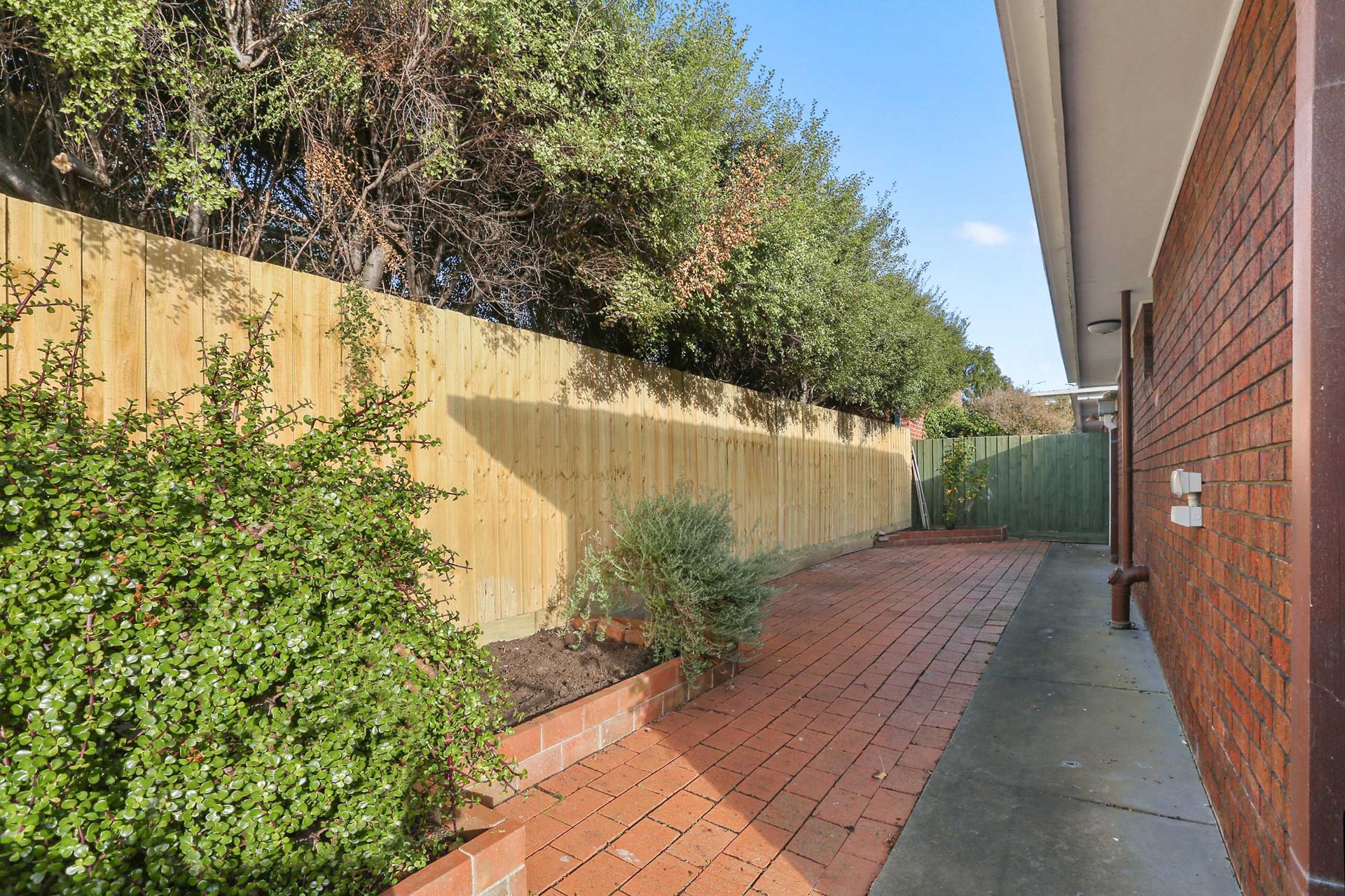 5/11 Skene Street, Newtown image 7